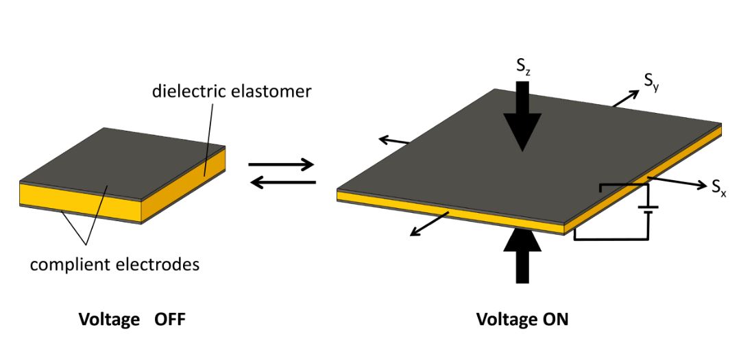 https://etif.empa.ch/documents/55926/0/FunctionalDielectricEla.jpg/edb8cb0d-0fc2-4382-a3b4-fed9f07b04f2?t=1703161861000