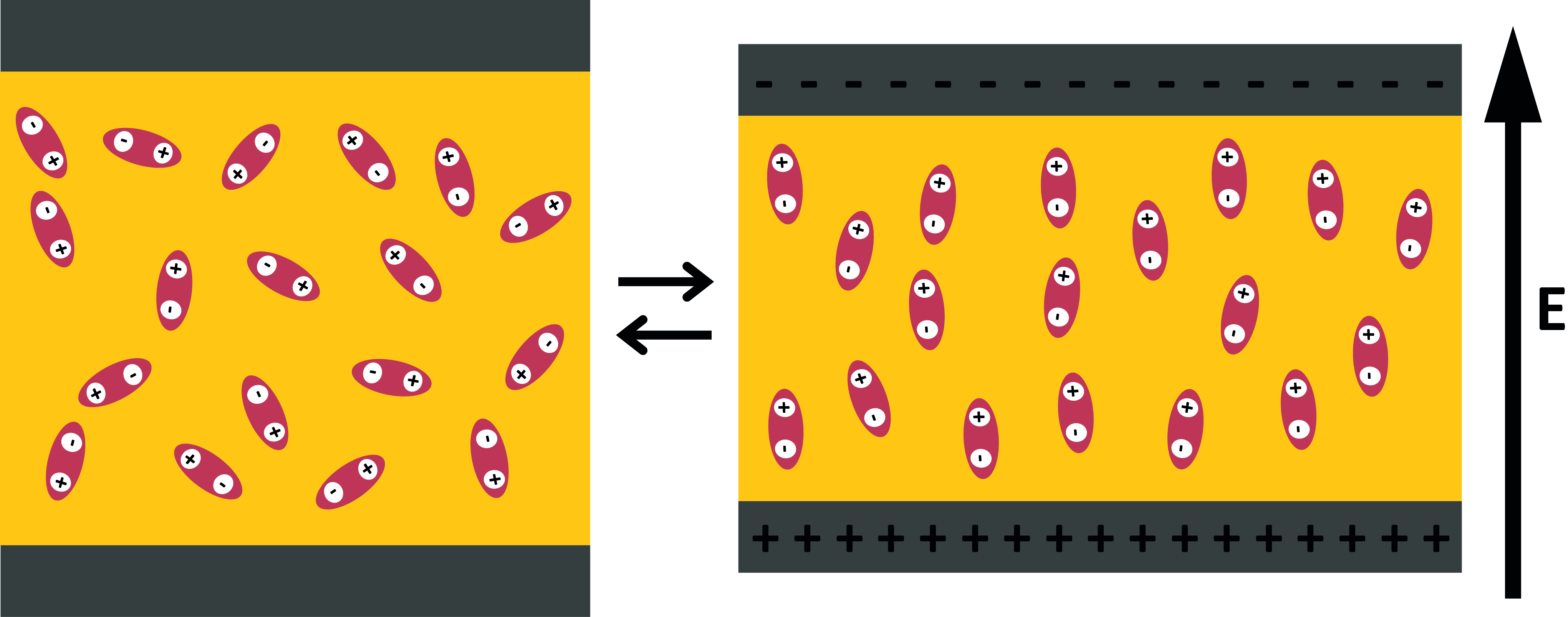 https://etif.empa.ch/documents/55926/0/synthesisofelastimerswithhighxxxxxxjpg.jpg/6a0ea76f-f4fd-42aa-94e6-f5cb61467d82?t=1646033022000