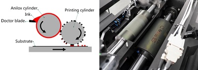 https://etif.empa.ch/documents/55926/76815/Flexo1_2.jpg/304eb23b-bad3-49f9-82fe-8fd7e5eae2bb?t=1586159133000