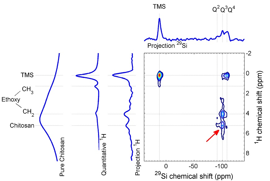 https://etif.empa.ch/documents/56010/20565576/12.01+AdvancedCharacerization_NMR_HetCorChitosan_update.jpg/0160181a-e475-4f82-bdb0-7c056ac84673?t=1649104937000